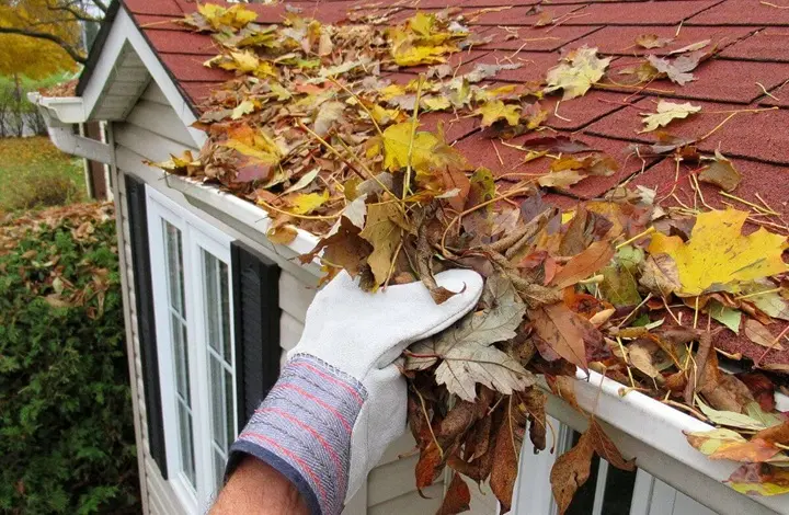 Gutter Cleaning & Seasonal Maintenance