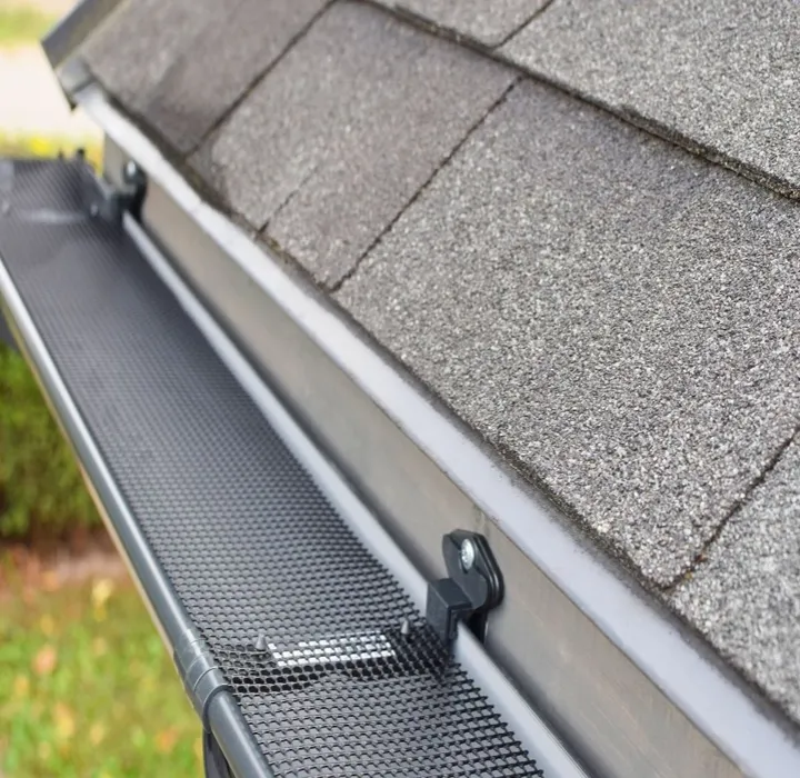 Gutter Guard Leaf Protection