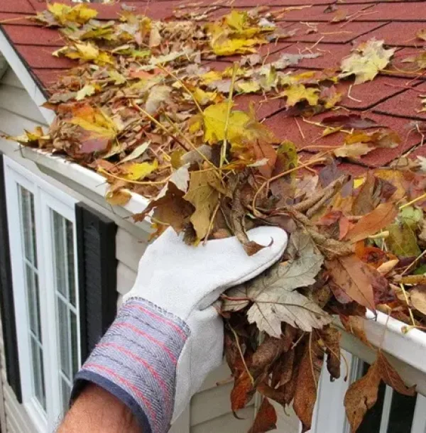 Gutter Cleaning & Seasonal Maintenance