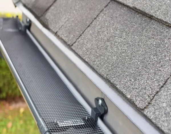 Gutter Guard Leaf Protection